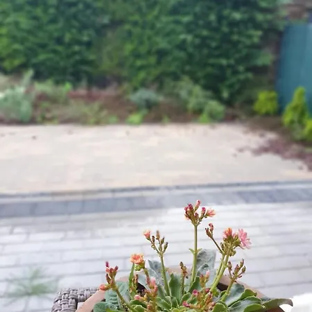 Lejlighed Podmiejska Stargard