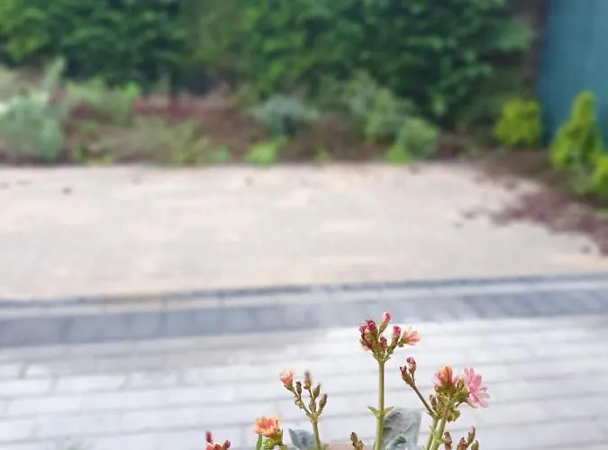 Apartament Podmiejska Stargard